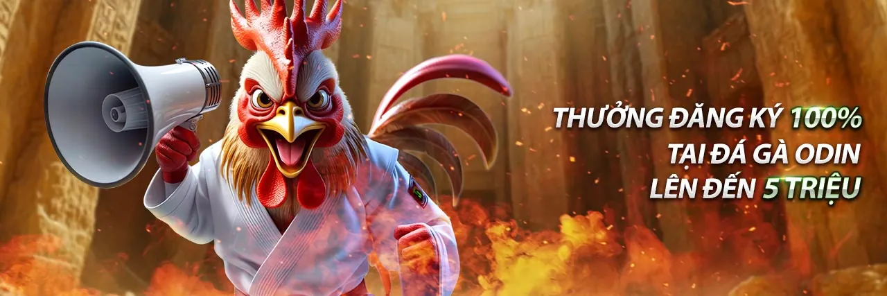 Hình ảnh đại diện cho Điều khoản Dịch vụ của k066 nhà cái, thể hiện sự an toàn và minh bạch